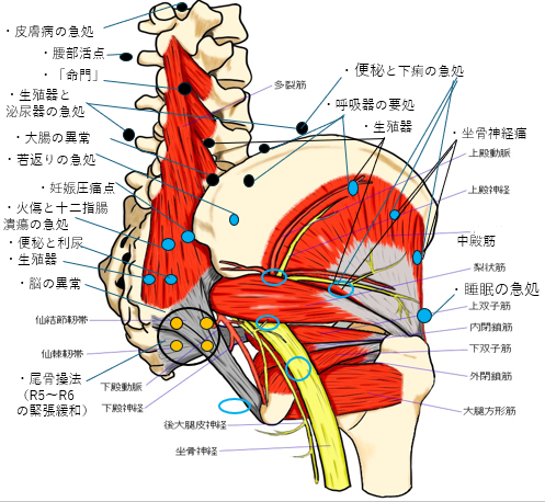 慢性症状改善の出張整体｜かなで出張整体｜葛飾区から都内へ出張整体｜整体・骨盤矯正