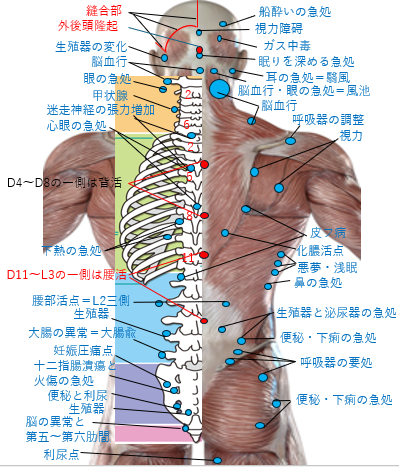 慢性症状改善の出張整体｜かなで出張整体｜葛飾区から都内へ出張整体｜整体・骨盤矯正の外観写真